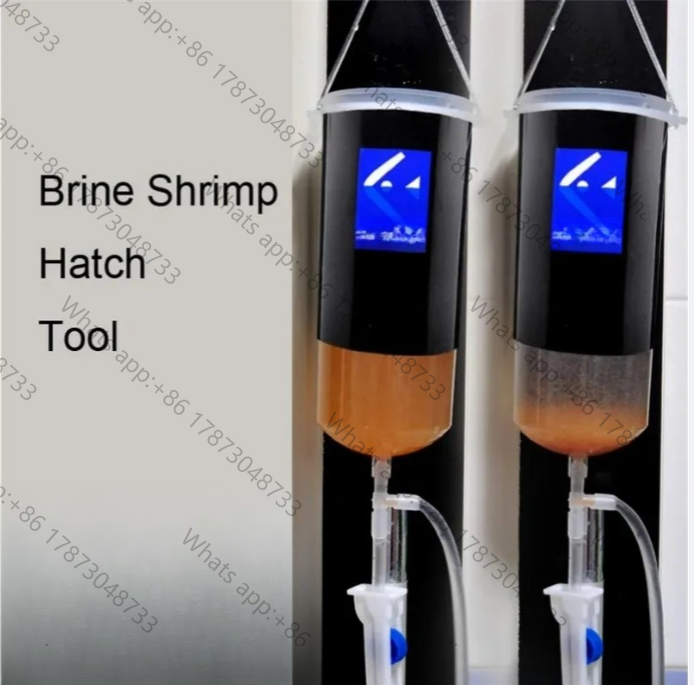 Ovos de artêmia vivos para ecl - Baby Food Shrimp avaliação e preço