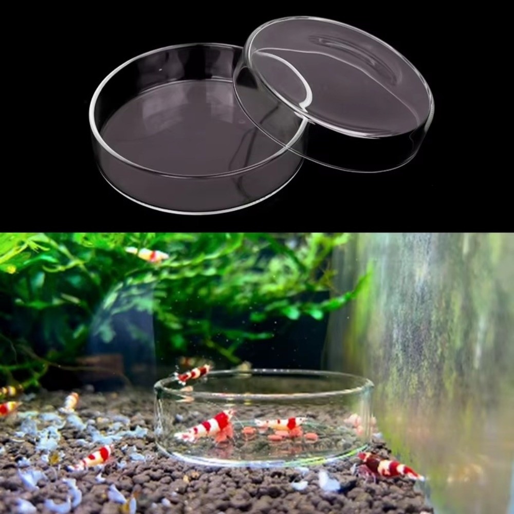 Tigela de alimentação de aquár - Baby Food Shrimp avaliação e preço